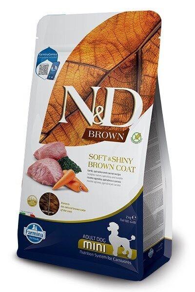 N&D כלב חום בוגר גזע קטן 2 קג Natural&Delicious