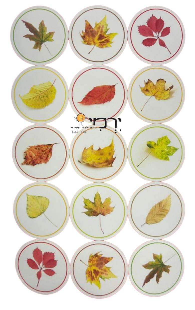 מדבקות עלי שלכת גדולות