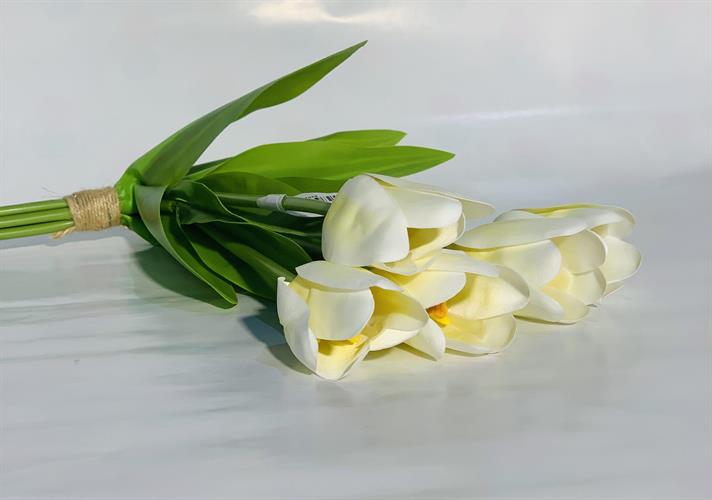 שושנה עם עלים לבן