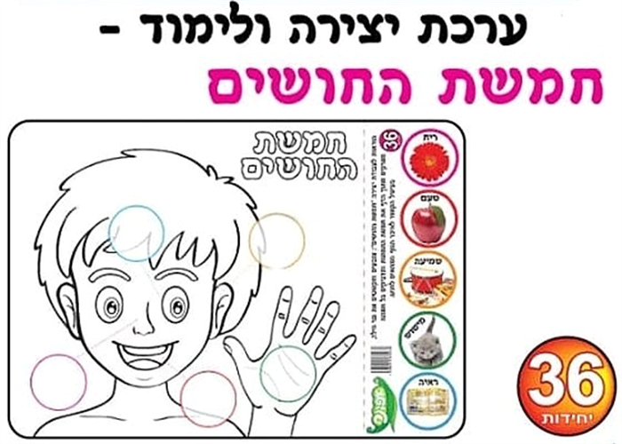 ערכת יצירה חמשת החושים