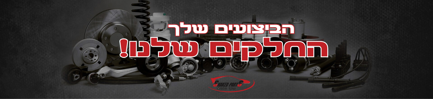 תמונה ללא תיאור