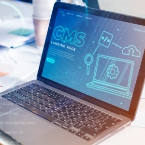 מערכת ניהול תוכן (CMS) בחנויות אונליין ואתרי תדמית