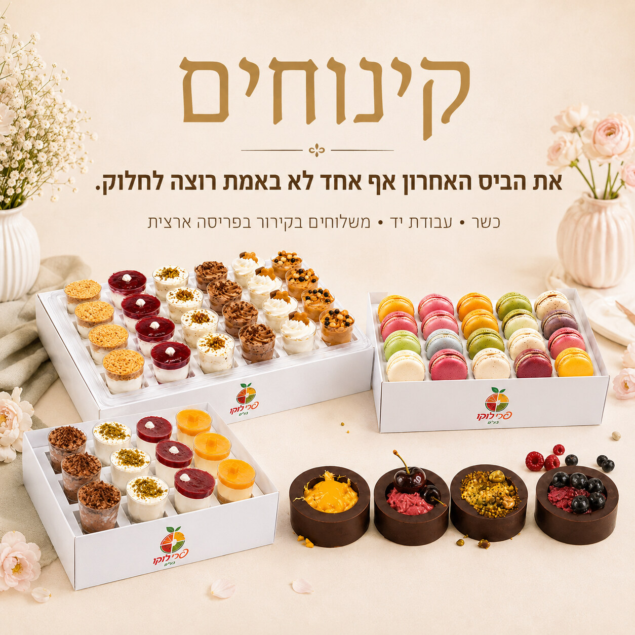 תמונה ללא תיאור