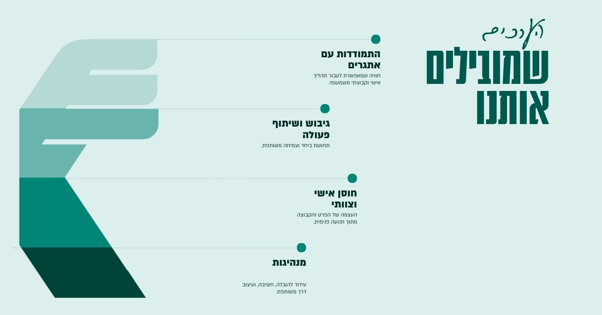 תמונה ללא תיאור