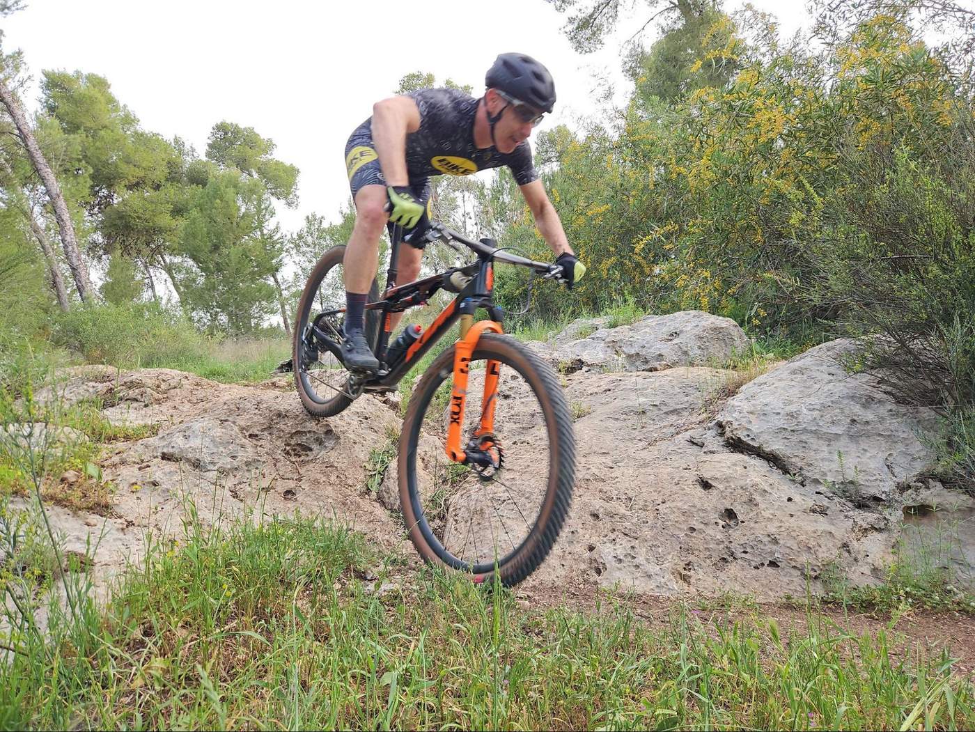 Scarp Mt exonic