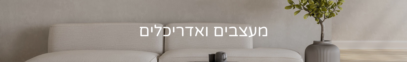 תקנון האתר